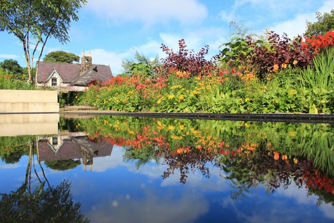 June Blake'S Garden Blessington Buitenkant foto