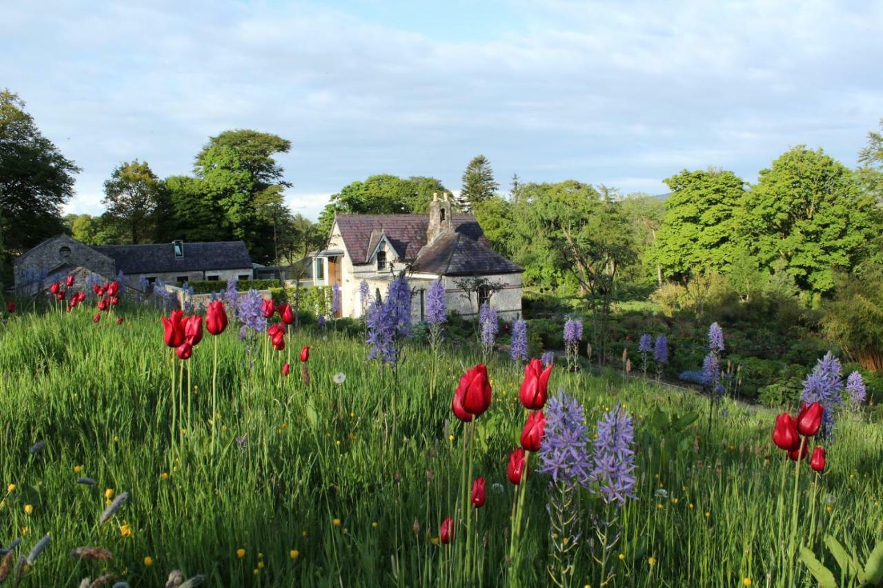 June Blake'S Garden Blessington Buitenkant foto