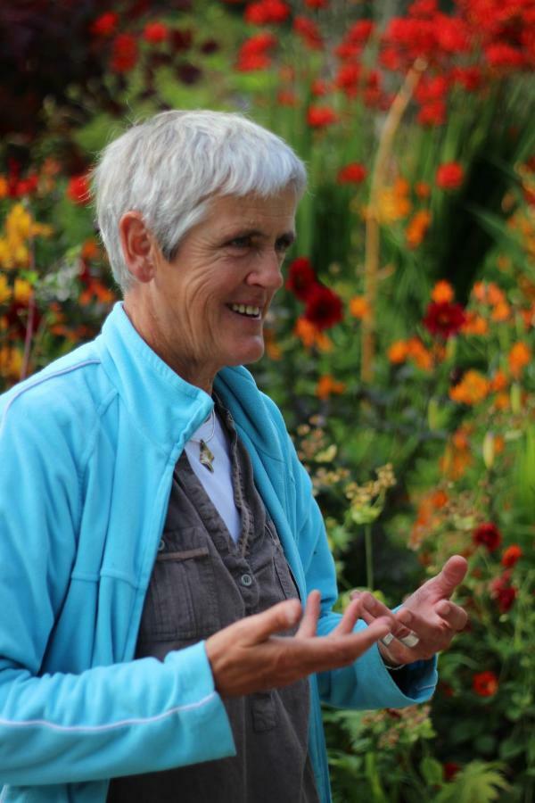 June Blake'S Garden Blessington Buitenkant foto
